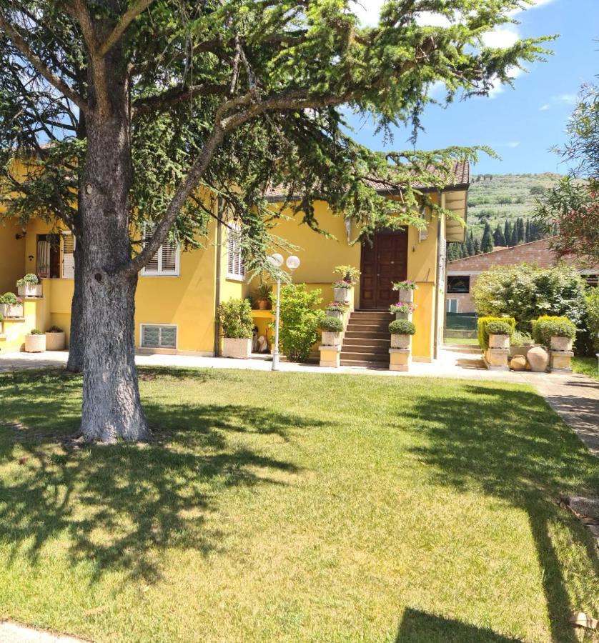 La Finestra Su Spello Appartement Buitenkant foto